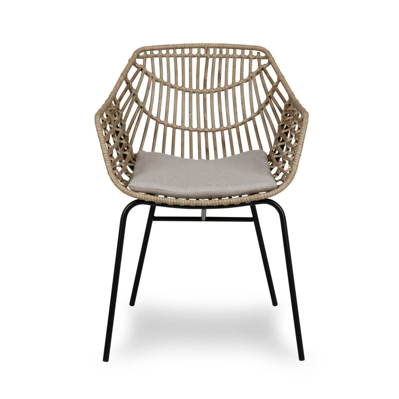 Beachcrest Home Twickenham Wicker Outdoor Dining Side Chair with